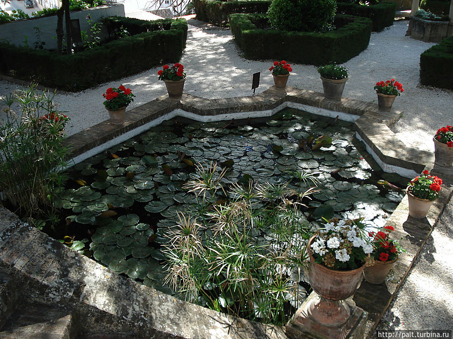 В таких уголках хочется писать стихи. Ронда, Испания