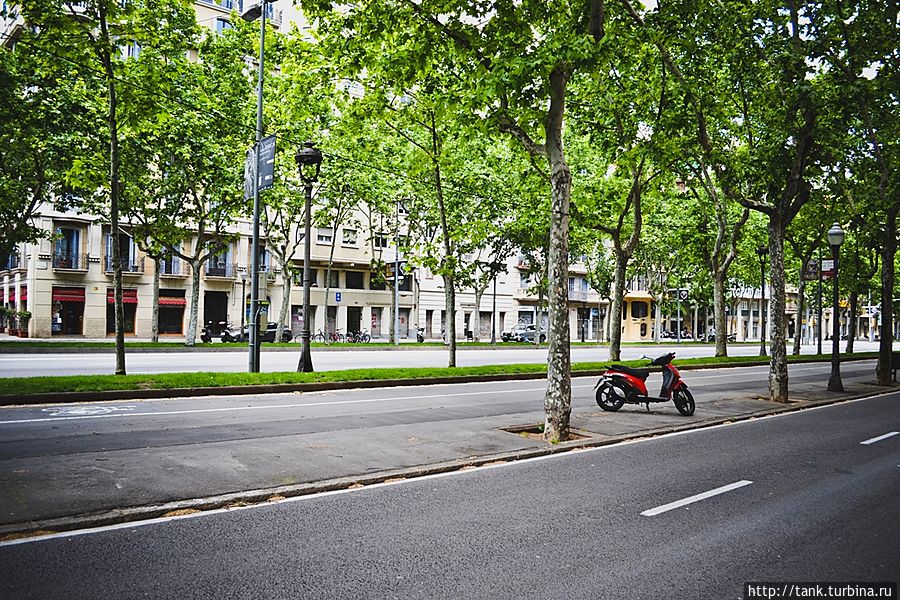 Постояв в тени деревьев, отправляемся к «визитной карточке» города, церкви Святого семейства.