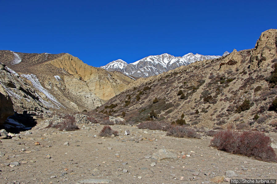 Мустанг. Наш третий день — он трудный самый (перевал 3960м) Гилинг, Непал