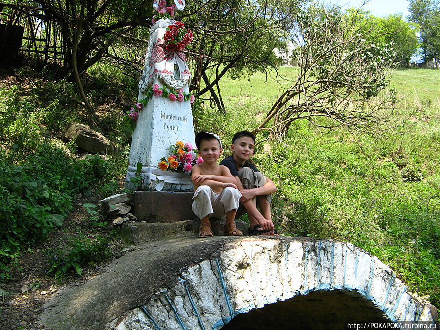 Напившись студеной водицы,отдохнем в тенёчке...
