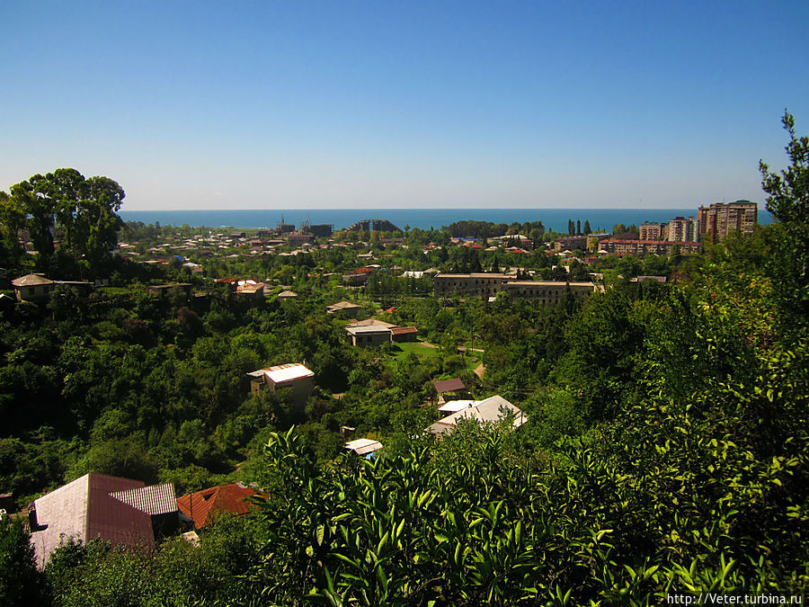 18 августа. Абхазия – кусочек рая на Земле. Гагра, Абхазия