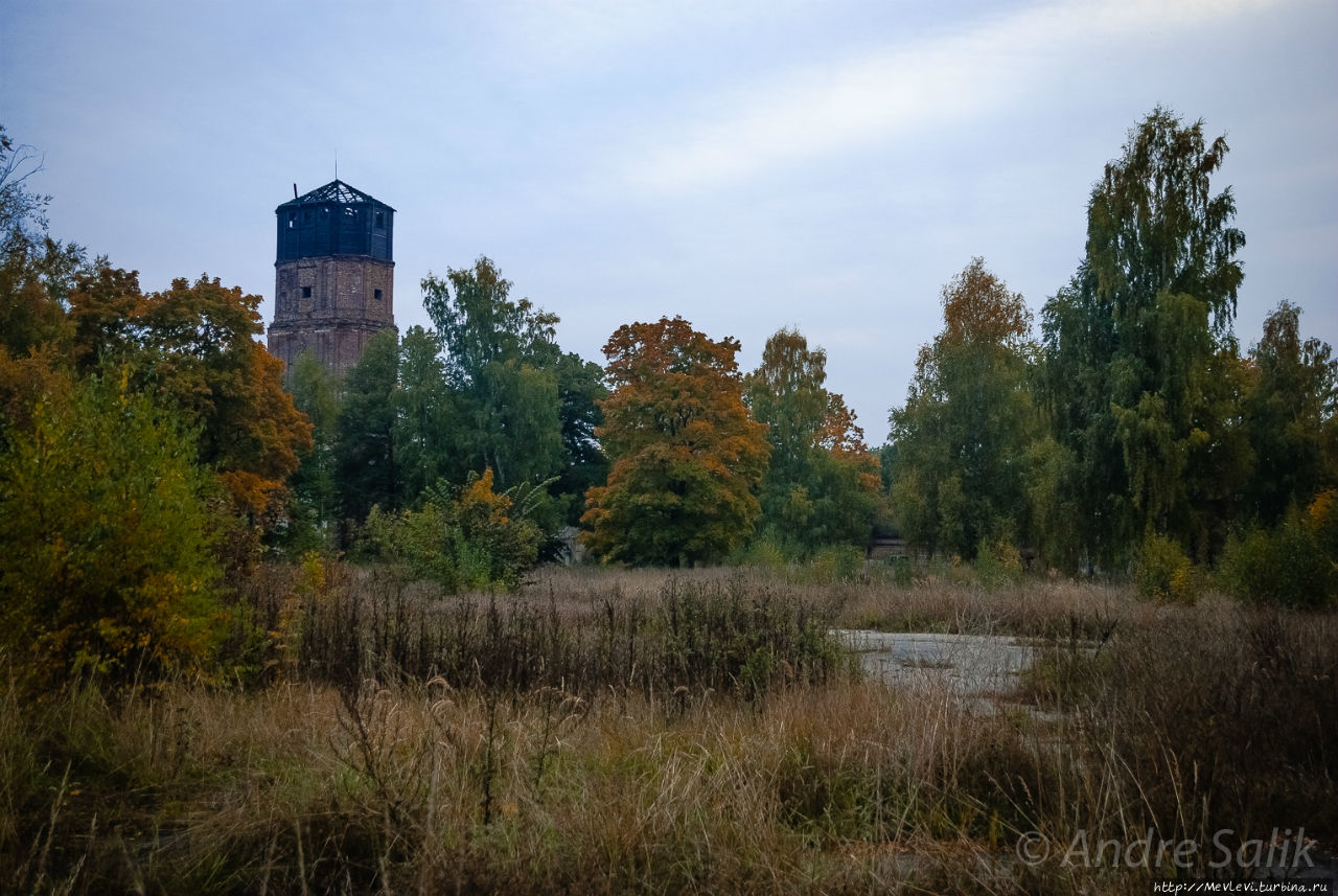 Красивая осень!!! Рига, Латвия