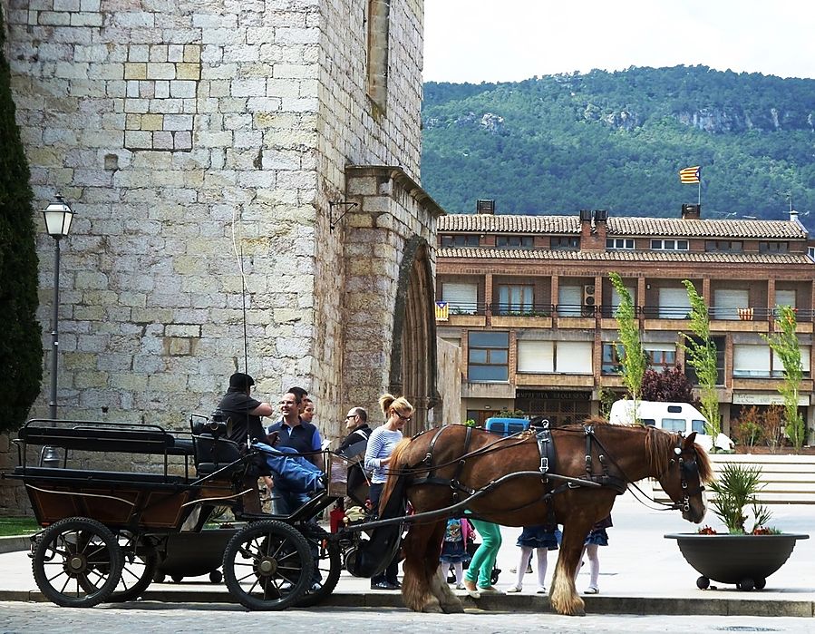 На площади Св. Франциска