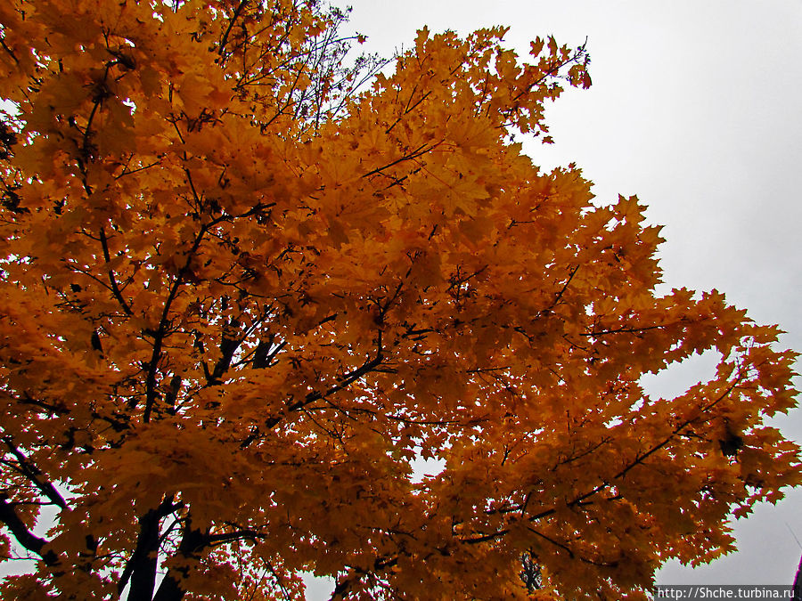 Золотая осень в Норвегии. Раскрашенная столица Осло Осло, Норвегия