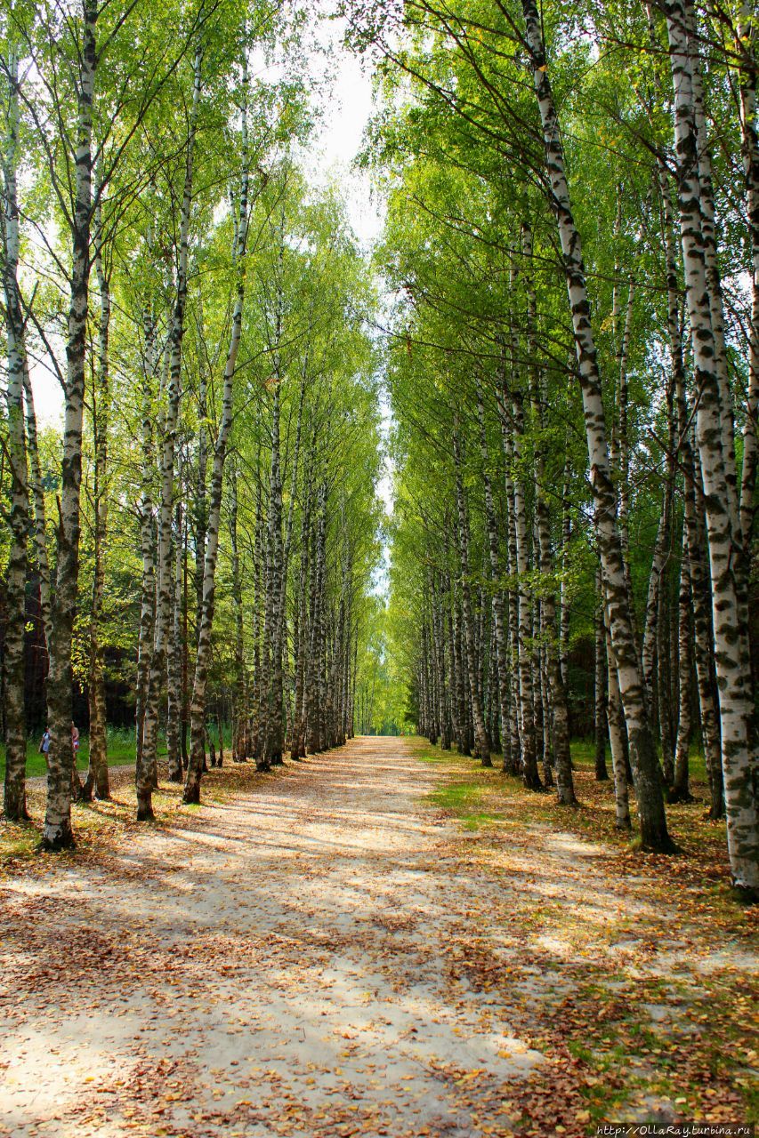 Село Владимирское. Сказ о Китеже на Светлояре.