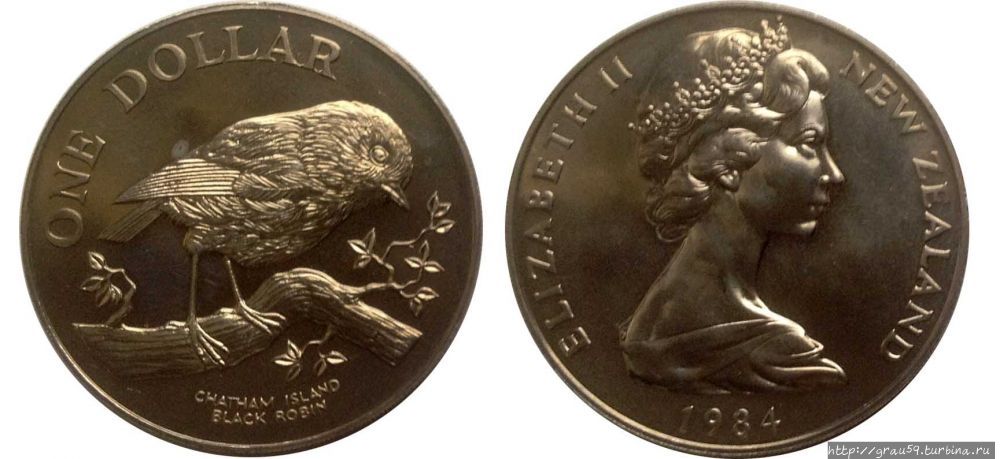 Птицы и лангусты островов Чатем Остров Чатем, группа Чатем, Новая Зеландия