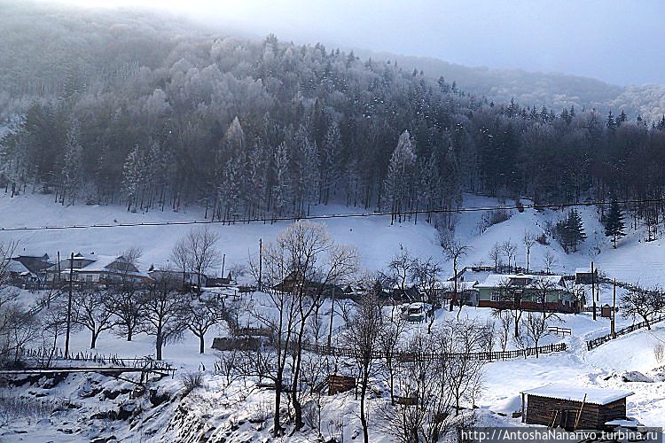 Косов Косов, Украина