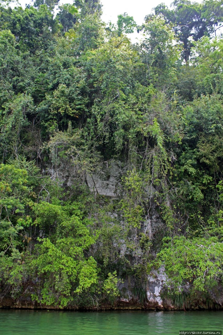 Каньон Рио Дульсе Рио-Дульсе Национальный парк, Гватемала