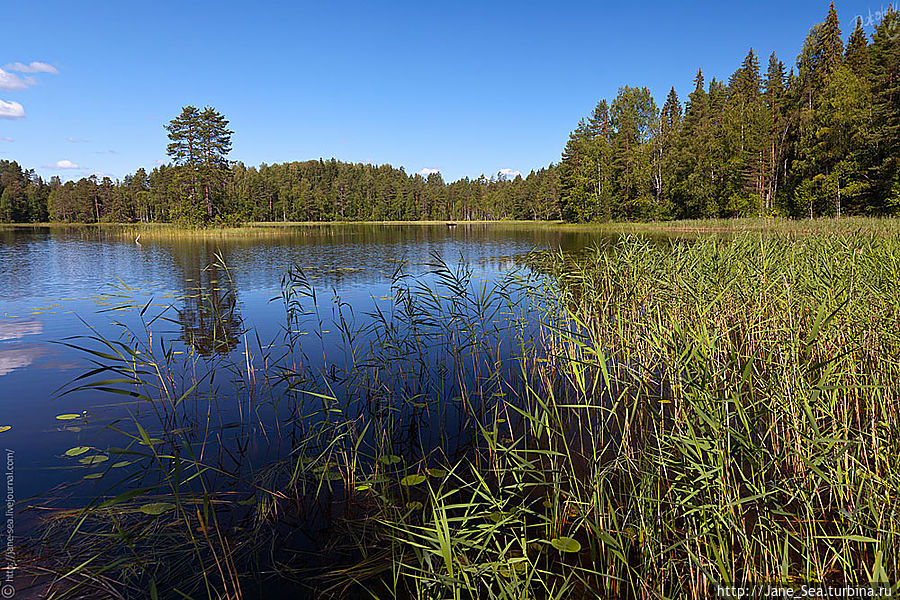 Наглимозеро Морщихинская, Россия