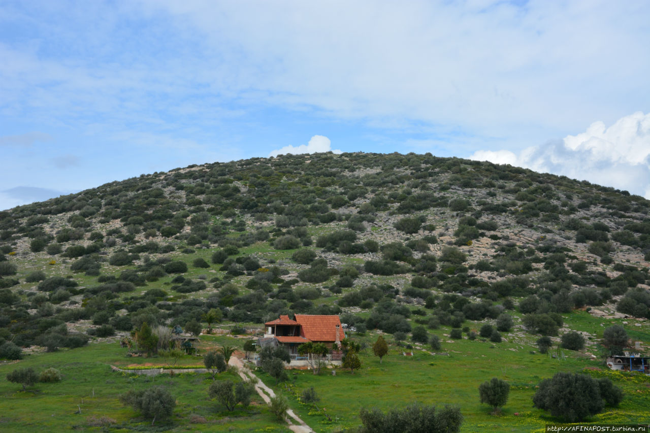 Весенний Лагонисси Аттика, Греция