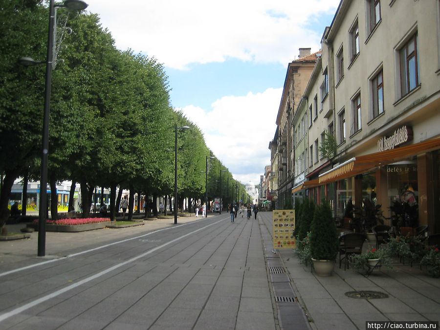 Аллея Лайсвес – основная улица города Каунаса, пешеходная. На этой улице находятся многочисленные магазинчики и кафе... Каунас, Литва
