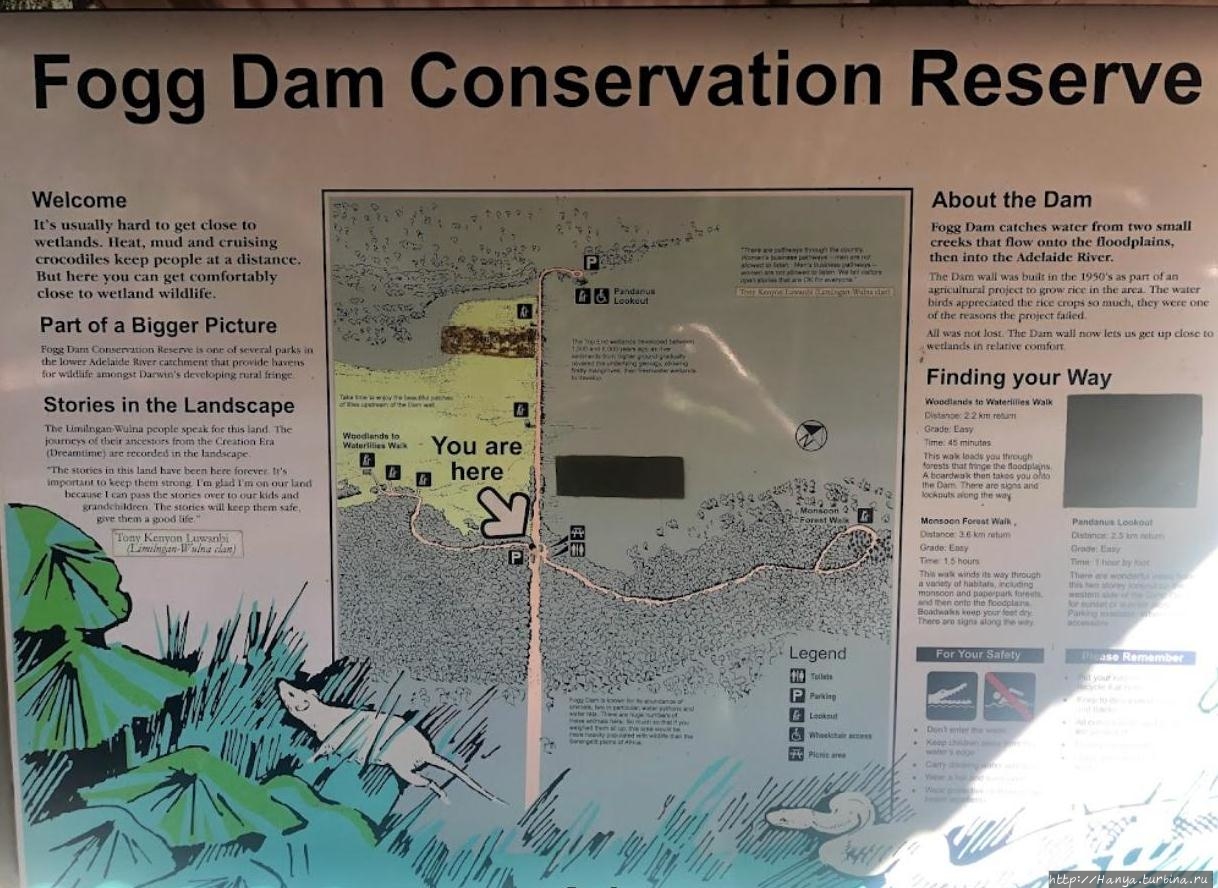 Природный парк Фогг Дэм / Fogg Dam Conservation Reserve