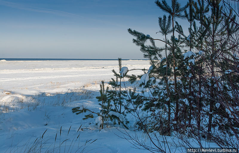 На прогулке в дюнах Юрмалы и зимой хорошо Юрмала, Латвия