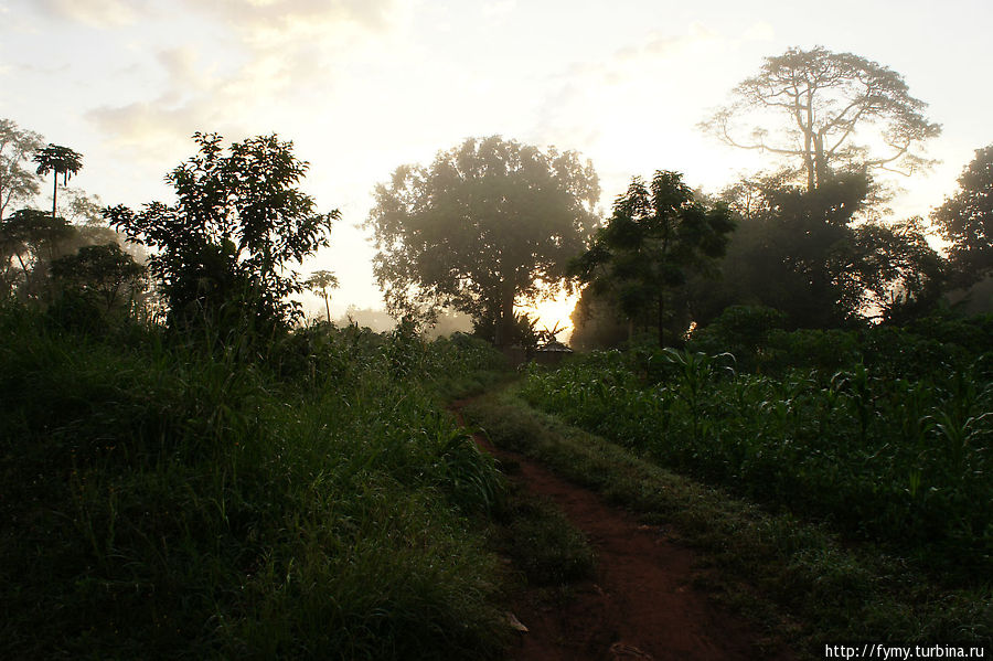 От Кампалы на север Уганда
