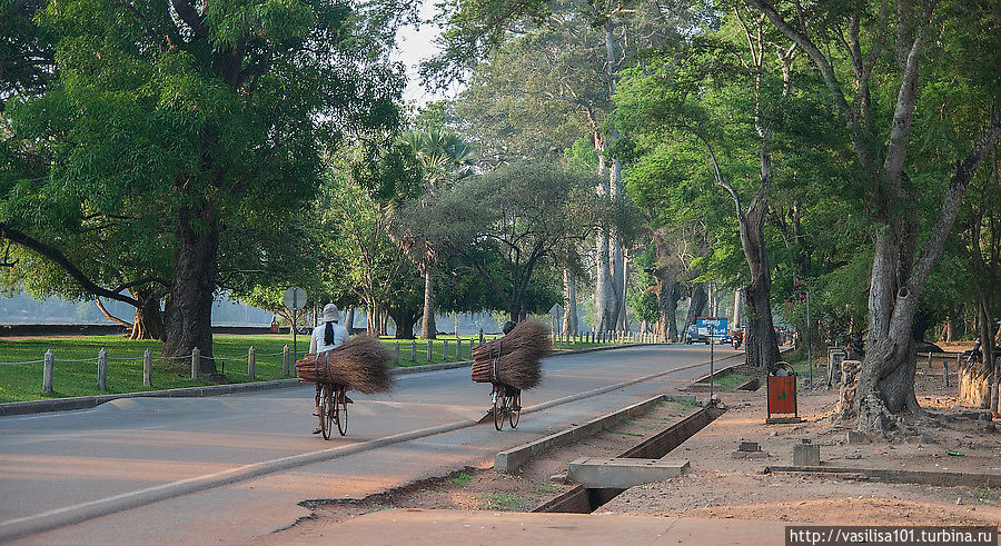 Дорога у Ангкор Вата