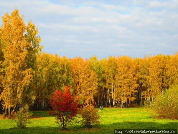 Прогулка по Гилевской роще Тюмень, Россия