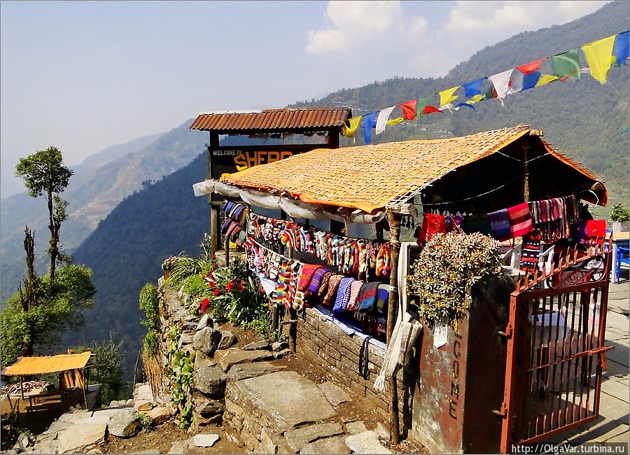 Маленькая деревушка Синуа на высоте 2370 м. От Чомронга мы поднялись уже на 420 метров. Чомронг, Непал