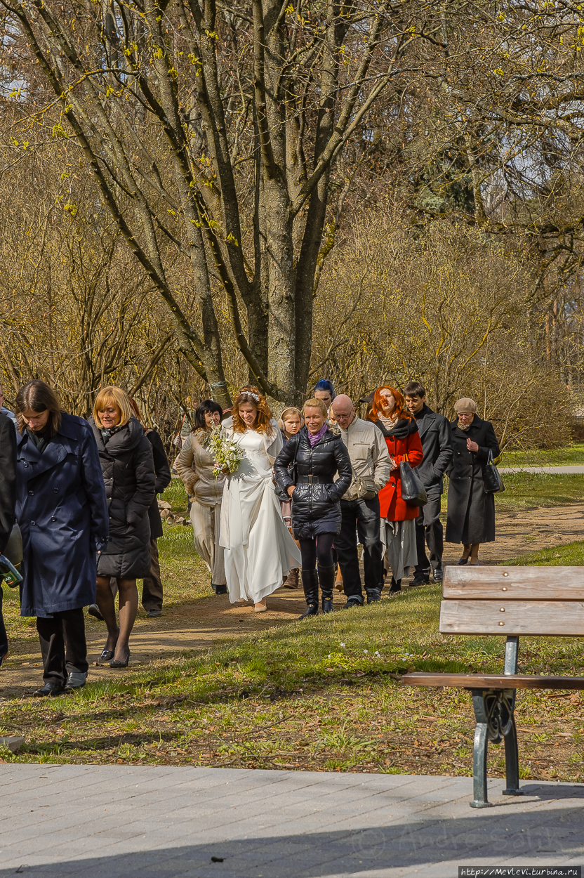 Ботанический сад в марте Рига, Латвия