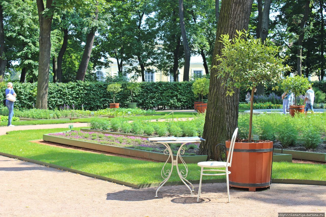 Впитать прекрасное в Летнем саду Санкт-Петербург, Россия
