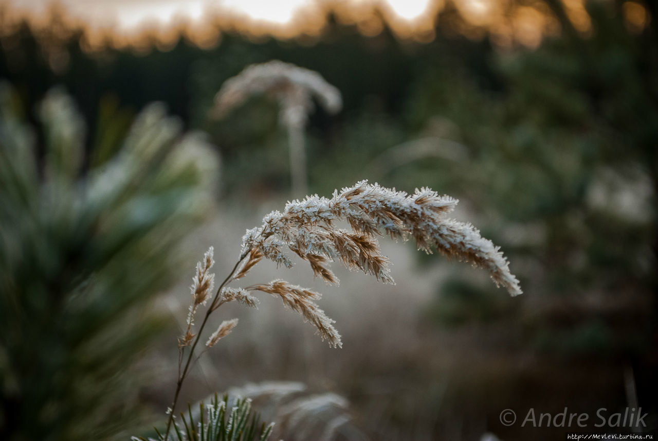 Изморозь Рига, Латвия