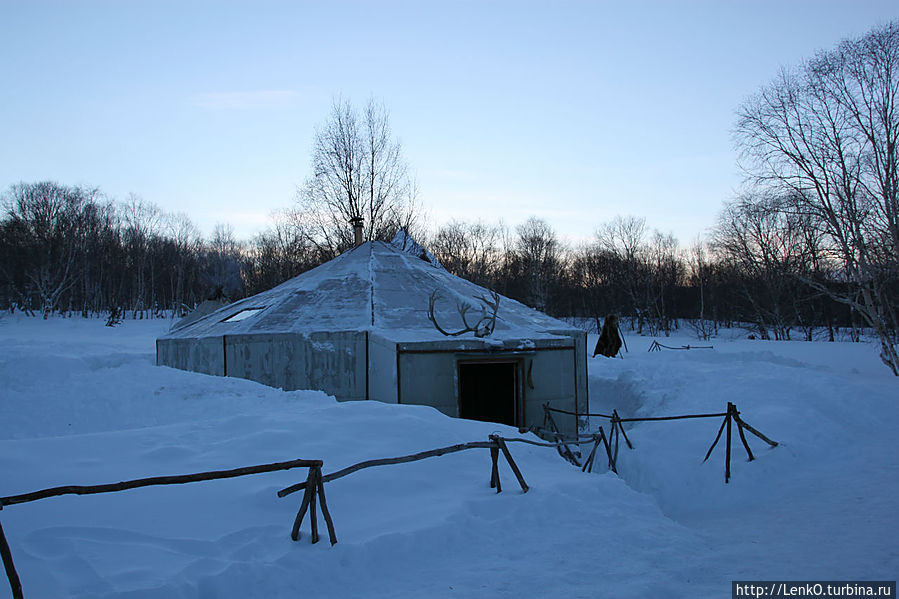 Снежные псы Петропавловск-Камчатский, Россия