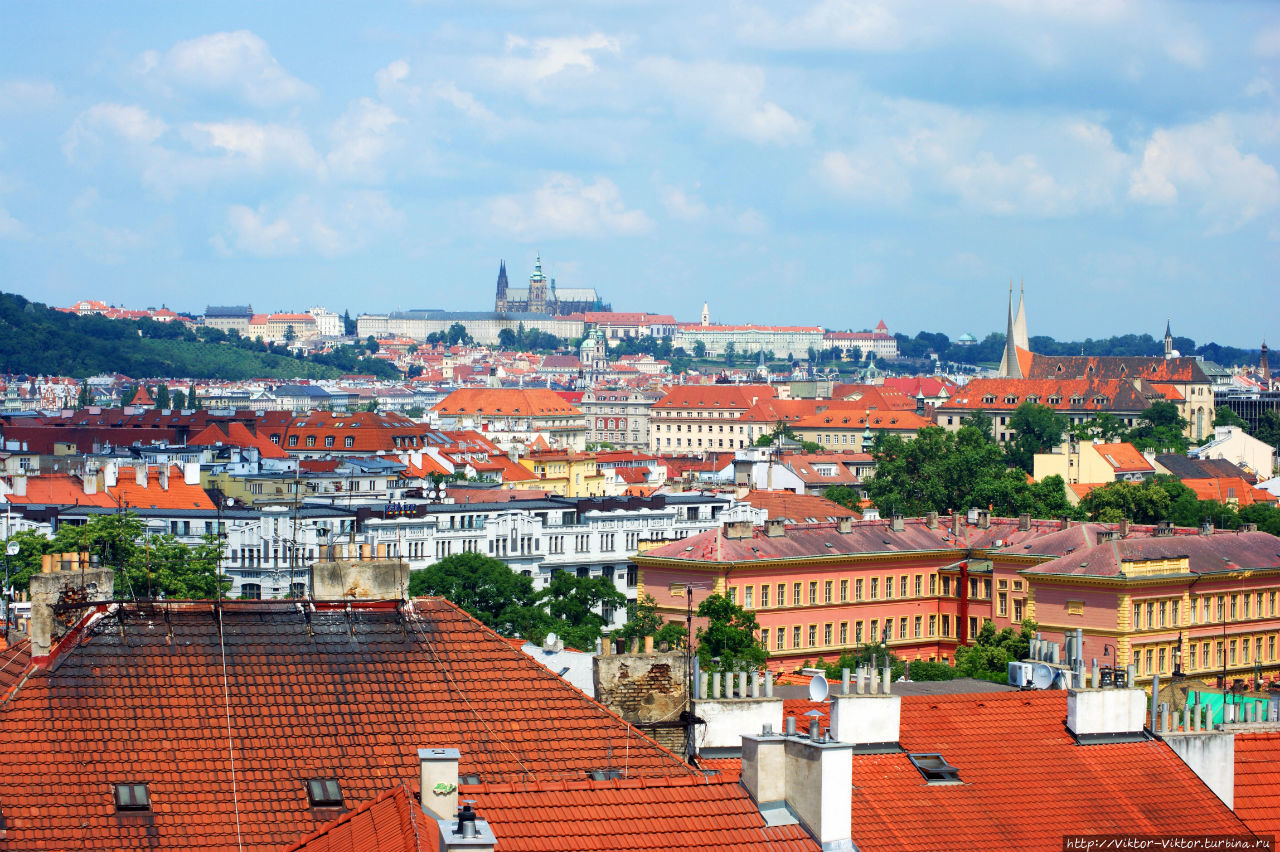 Вид на Прагу с крепостных стен Вышеграда Прага, Чехия
