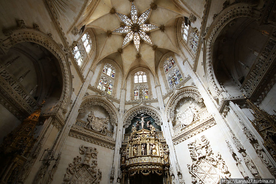 Капеллеа Кондестабле