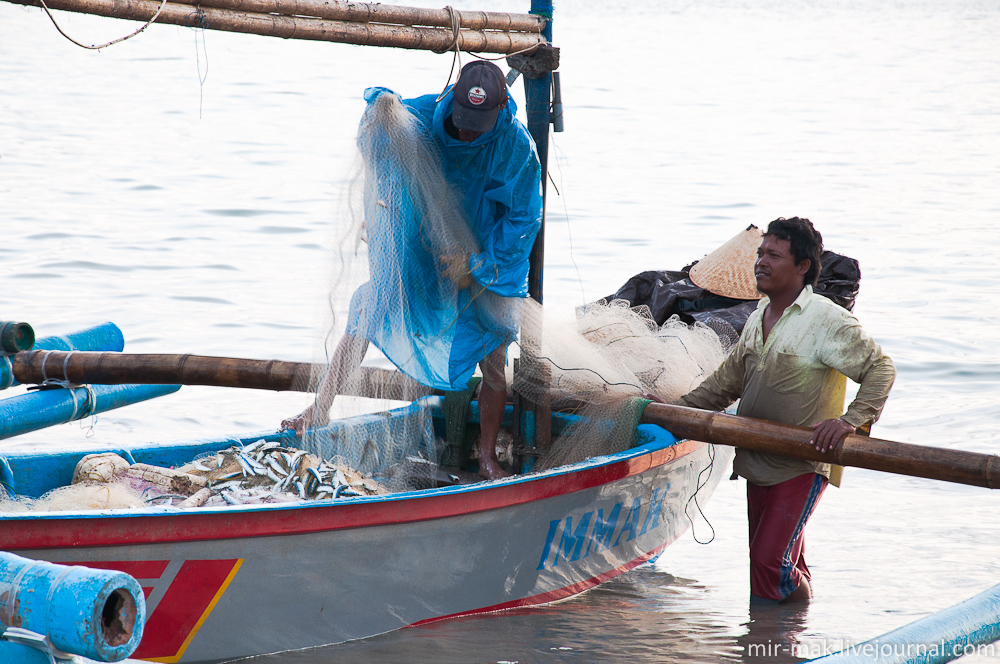 Поскольку, на рынке я был уже почти на закате, то рыбаки разбирали уловы последнего, вечернего заплыва. Джимбаран, Индонезия