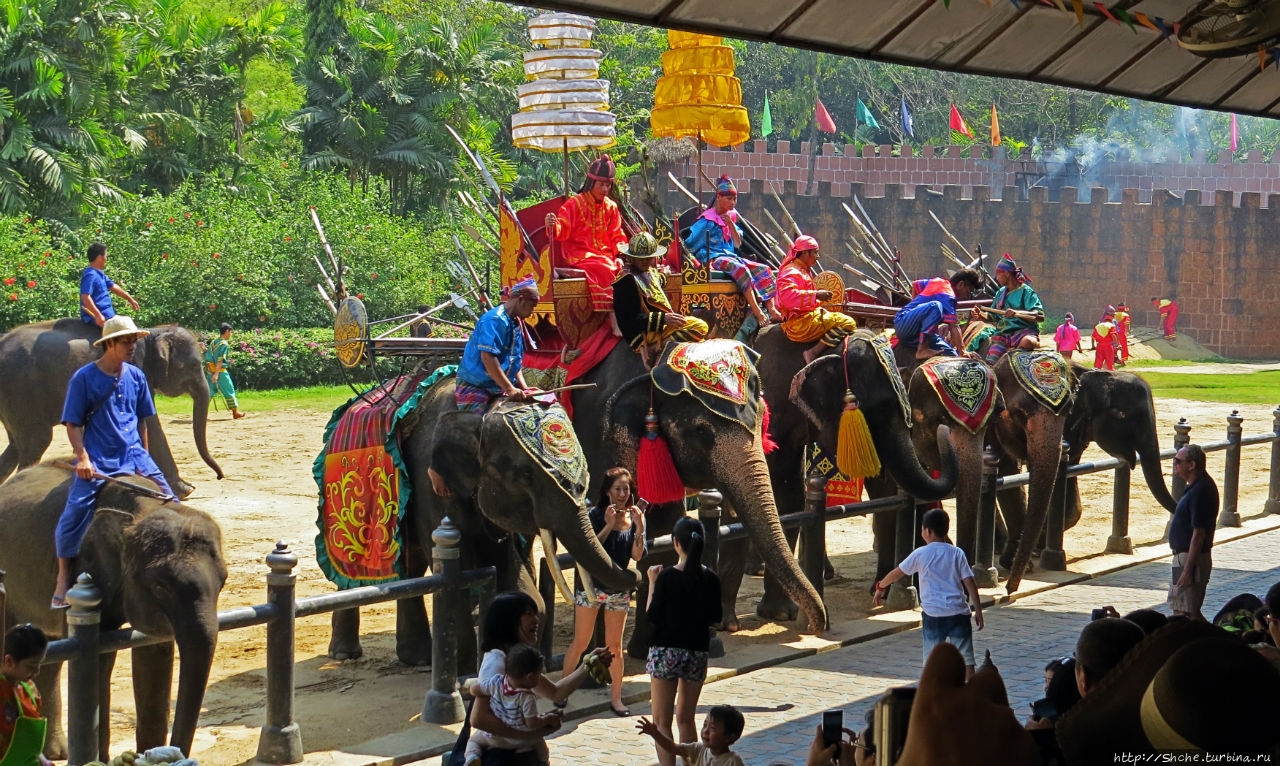 Elephant Show (Samphran Elephant Ground & Zoo) Сам-Пран, Таиланд