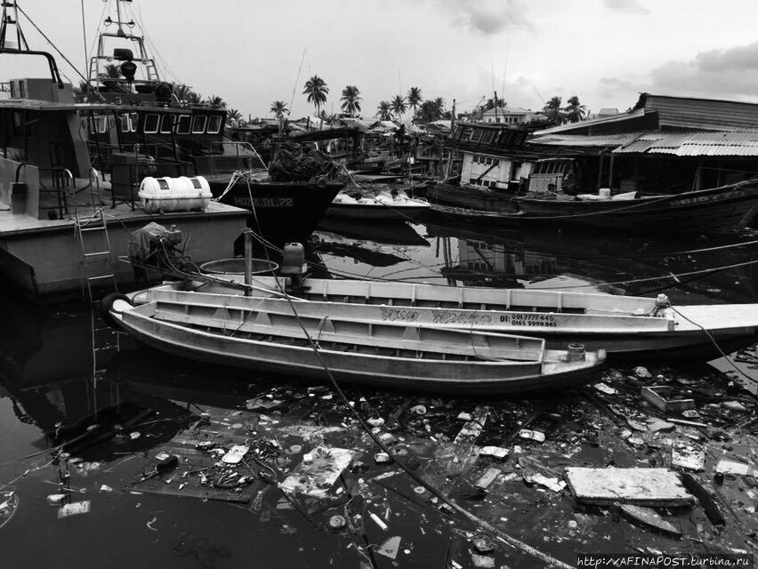 Чёрно-белый Вьетнам Остров Фу Куок, Вьетнам