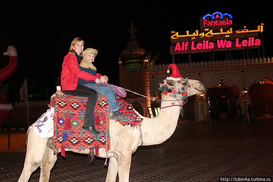 Вечерняя прогулка на верблюде. Шарм-Эль-Шейх, Египет