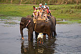 Погонщики с большой нежностью поливали слонов водой.