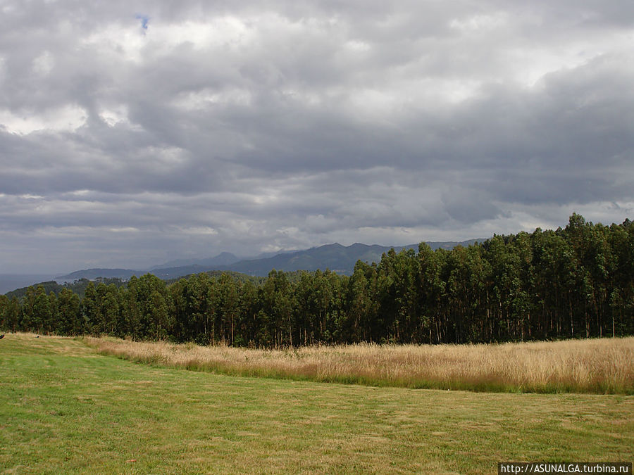 палеонтологический музей в области Раса-де-Сан-Тельмо муниципалитета Колунга, Астурия, Испания. Расположен на горе Раса-де-Сан-Тельмо. Из музея видны, в частости, Бискайский залив, Сьерра-дель-Сьеве и Пикус-де-Европа.