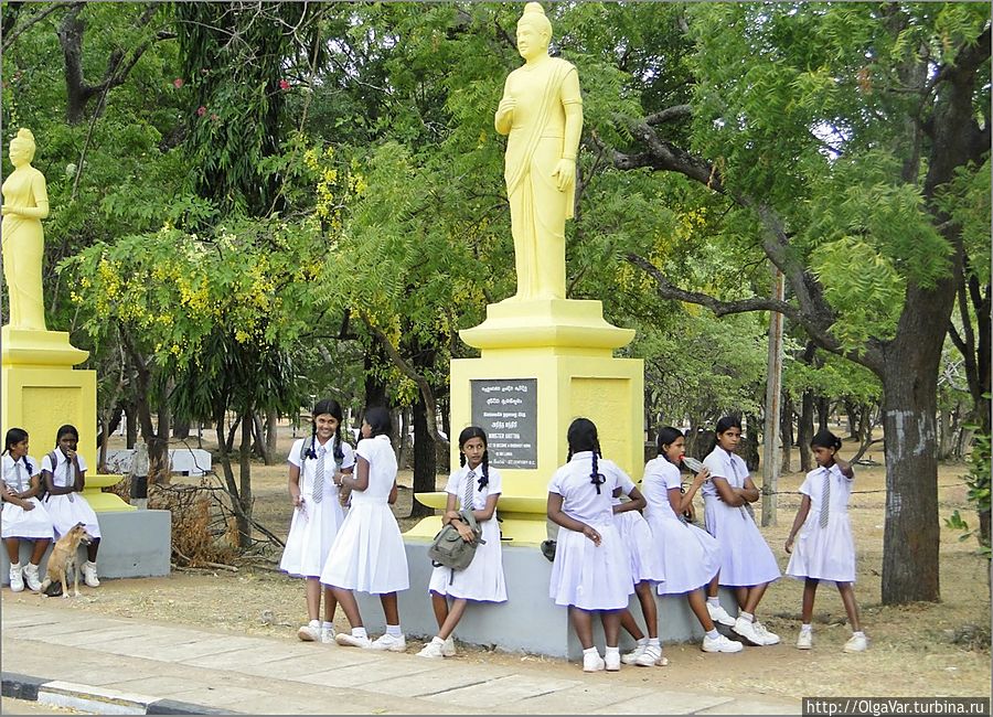 Как и повсюду на Шри-Ланке у школьников своя форма, как правило белая Анурадхапура, Шри-Ланка