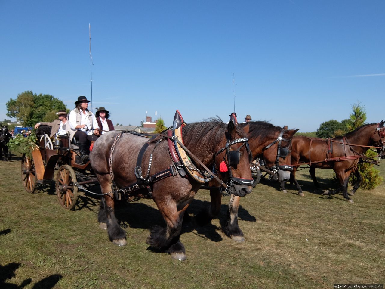 Баба з возу — кобыле легше Фишбах, Германия