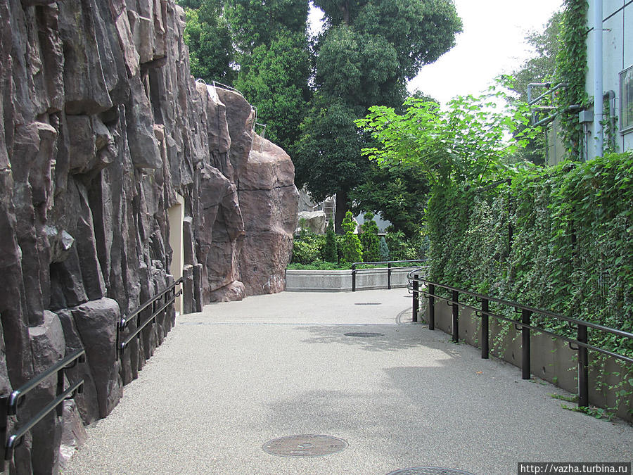Прогулка по зоопарку Уэно. Токио, Япония