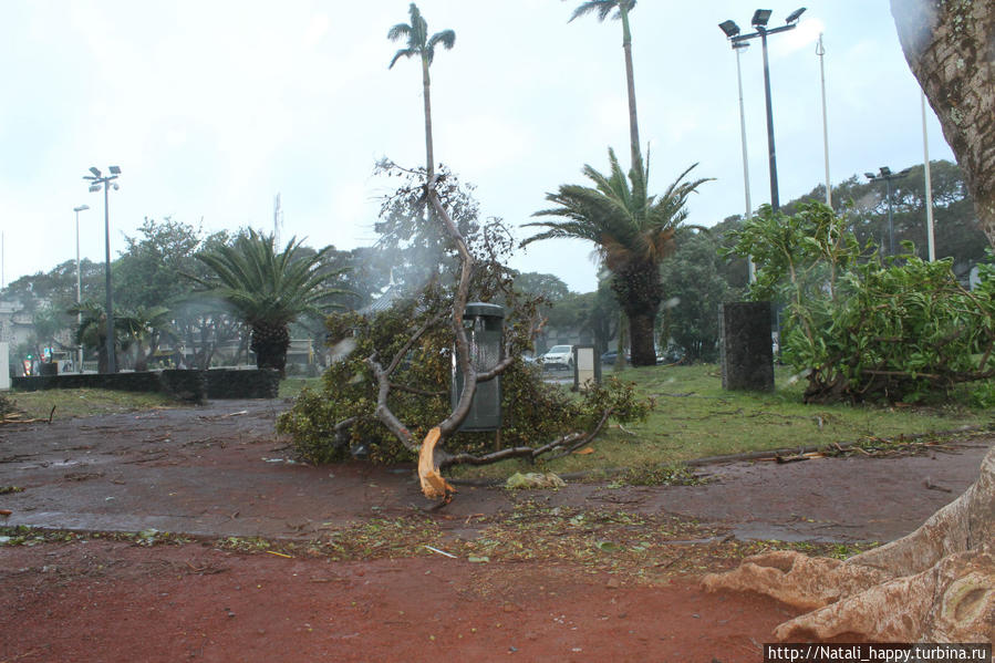 Последствия стихии Сен-Дени, Реюньон