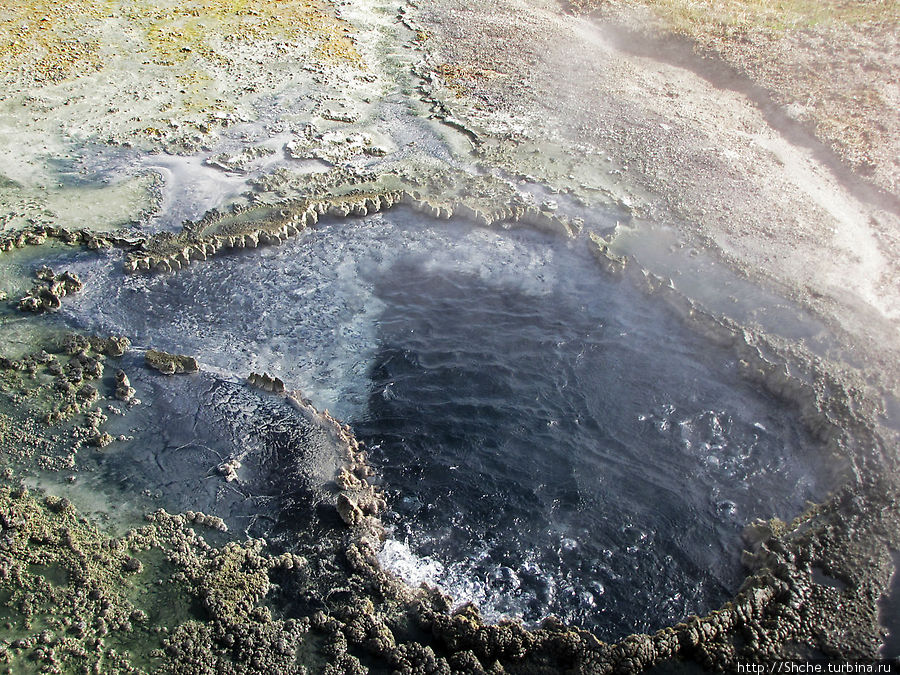 От гейзера к гейзеру. Возвращение на Geyser Hill Йеллоустоун Национальный Парк, CША