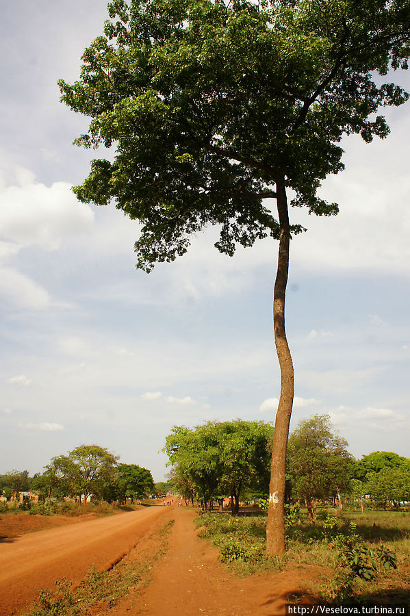 Танзания. Продолжение Танзания