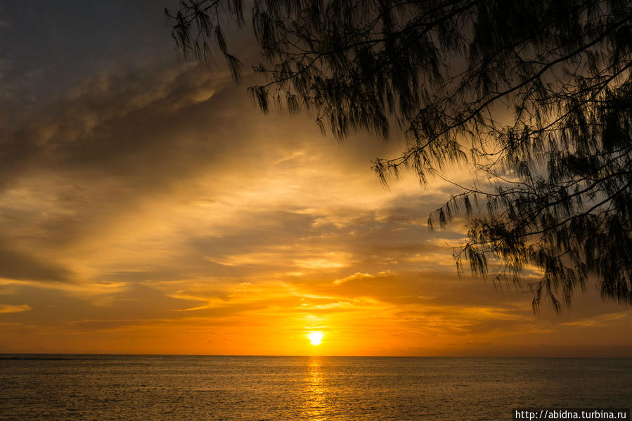 Закат на острове Дэнис Сейшельские острова
