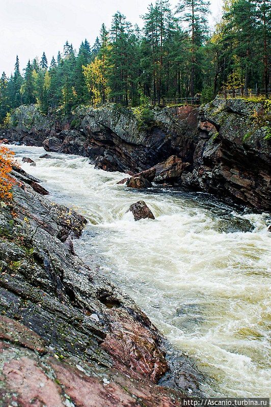 Пешком по осенней Иматре