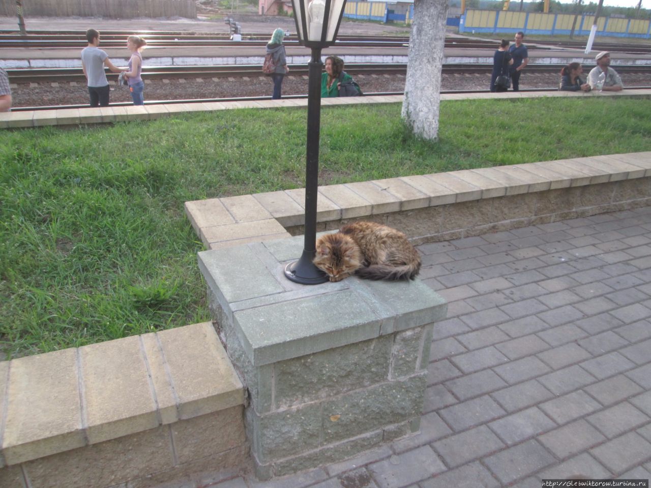 Поездка в Ельск Ельск, Беларусь