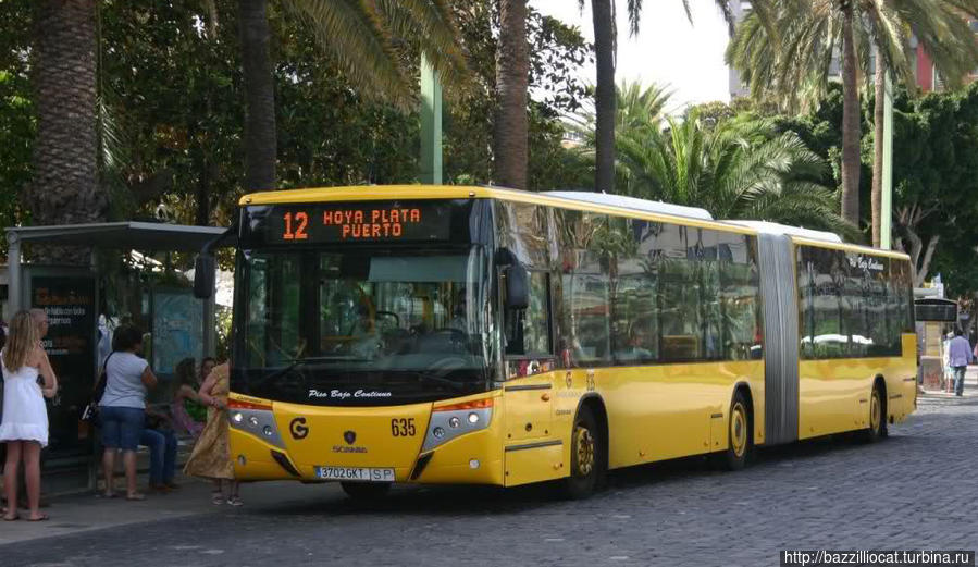 Городской автобус в Лас-Пальмасе Лас-Пальмас-де-Гран-Канария, остров Гран-Канария, Испания