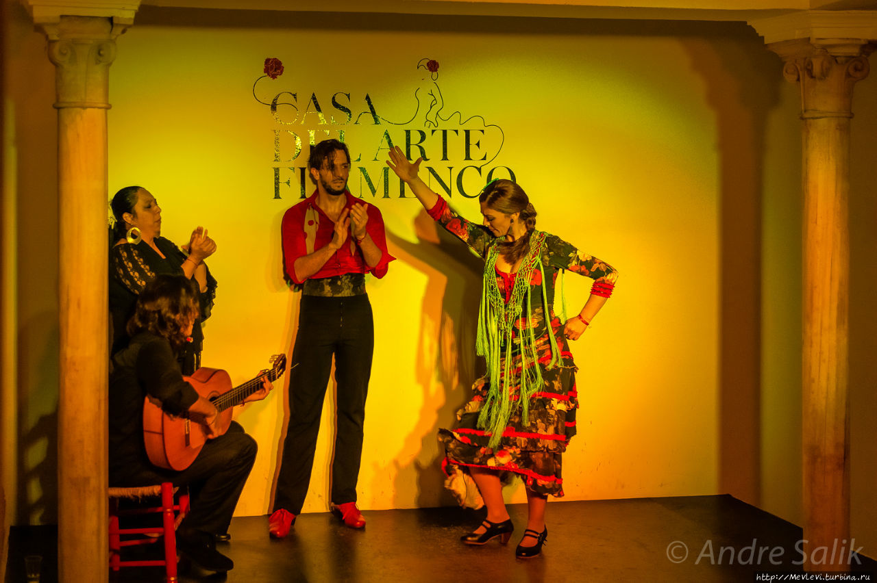 Casa del Arte Flamenco Гранада, Испания