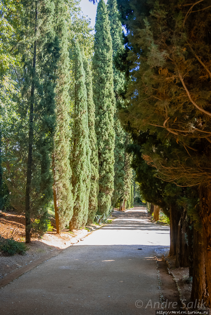 Гранада. Прогулка по городу Гранада, Испания