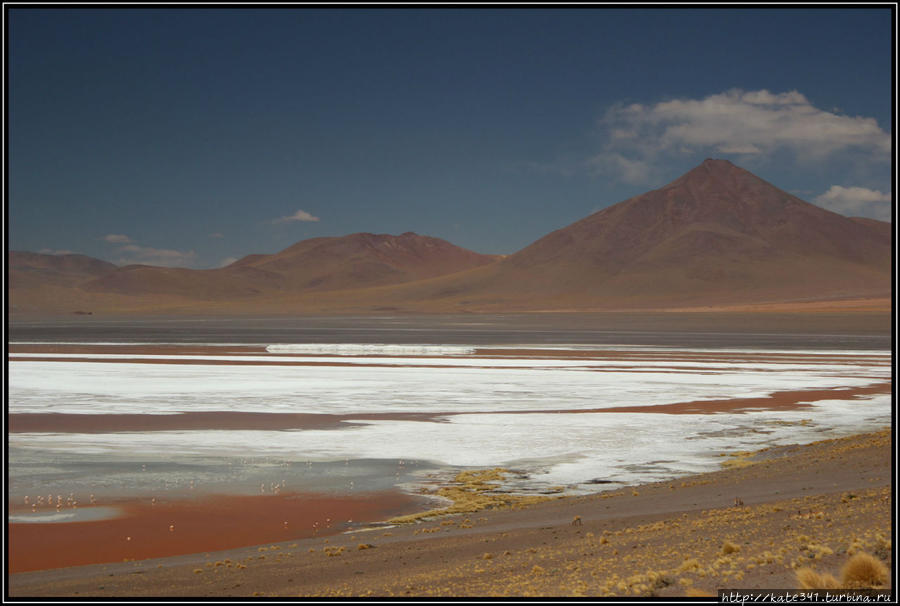Галопом по Америкам. Уюни. День 2 — день разноцветных лагун Уюни, Боливия