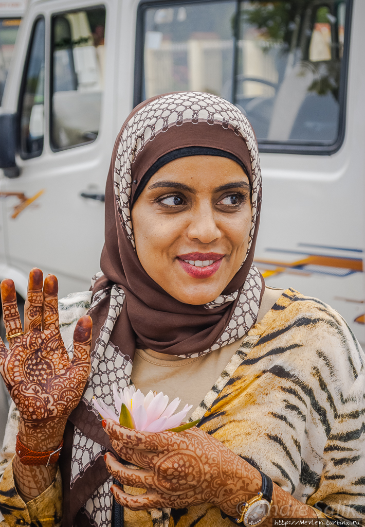 Озеро Дал. Портреты