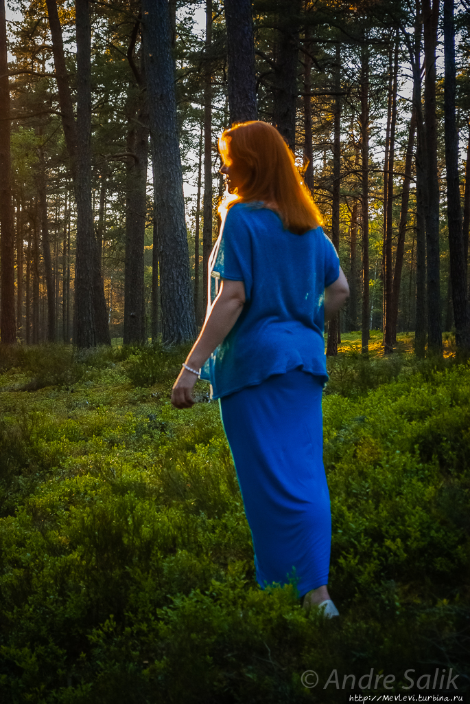 Красивое взморье Юрмала, Латвия