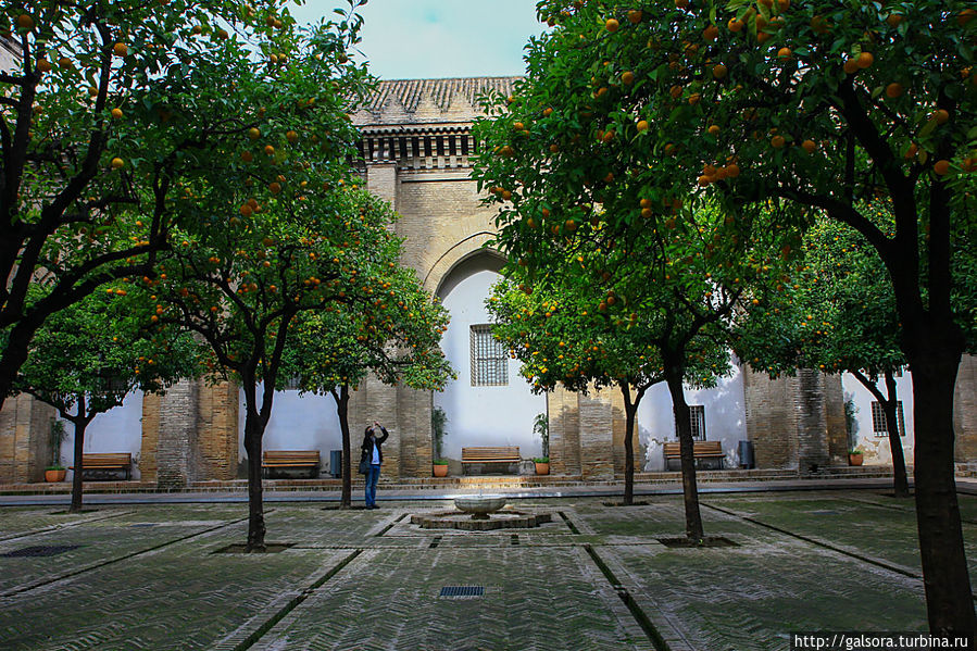 Собор (Catedral) Севилья, Испания