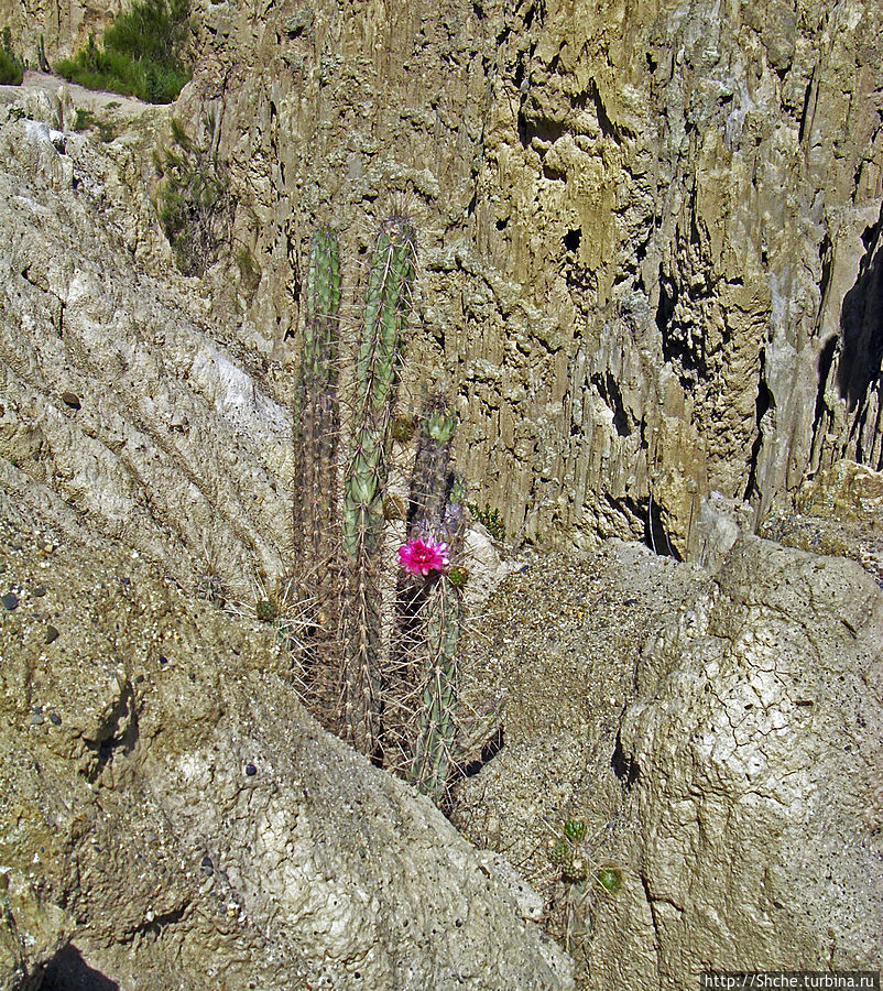 Лунная Долина (Valle de la Luna) в Боливии